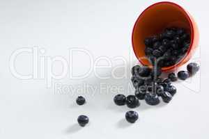 Blueberries spilling out from bowl on white background