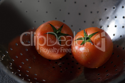 Fresh wet tomatoes in strainer