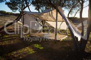 Tent at forest