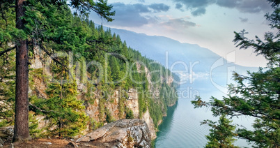 Trees growing on mountain by river