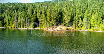 High angle view of river by forest