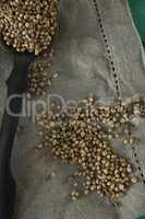 Coriander seeds on cloth