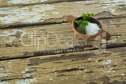Salt and coriander leaves in bowl