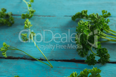 Fresh coriander leaves on wooden table