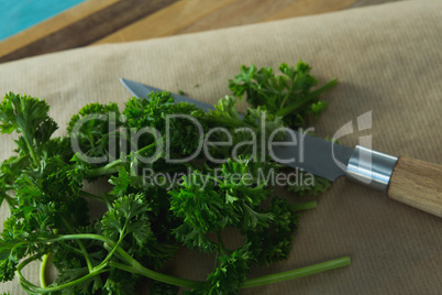 Coriander leaves, wax paper and knife on chopping board