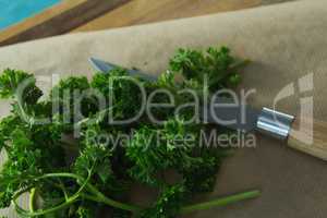 Coriander leaves, wax paper and knife on chopping board