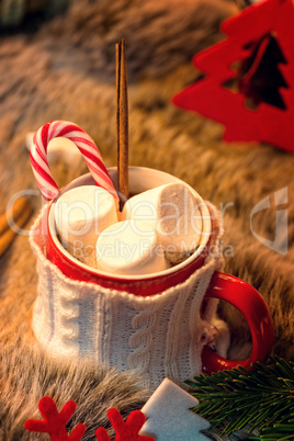 Hot chocolate with marshmallow