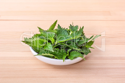 nettle leaves