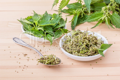 fresh Nettle seeds