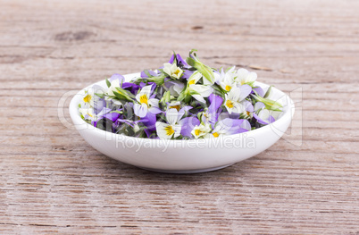 small, violet heartsease