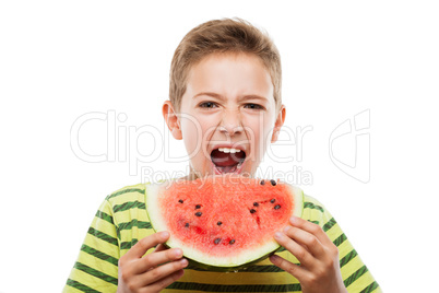 Handsome smiling child boy holding red watermelon fruit slice