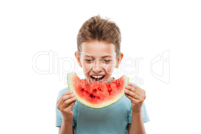 Handsome smiling child boy holding red watermelon fruit slice