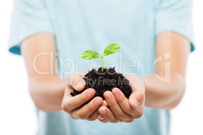 Human hand holding green sprout leaf growth at dirt soil