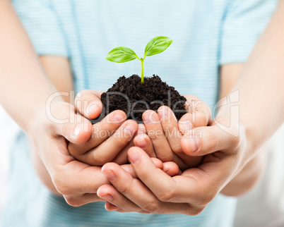 Human hands holding green sprout leaf growth at dirt soil