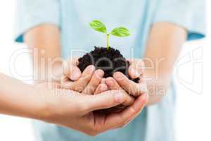 Human hands holding green sprout leaf growth at dirt soil