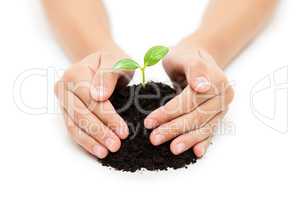 Human hand holding green sprout leaf growth at dirt soil