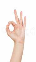 Woman hand in ok sign on a white