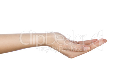 woman hand with palm up