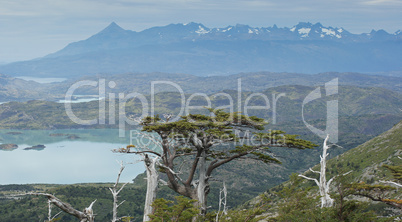 Landschaft im Torres del Paine Nationalpark, Chile, Südamerika