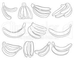 Set of different bananas isolated