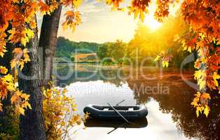 Boat in the pond