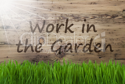 Sunny Wooden Background, Gras, Text Work In The Garden