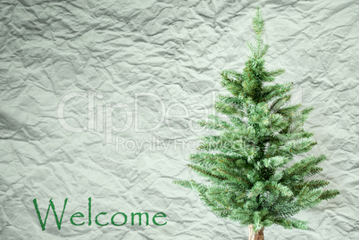 Fir Tree, Crumpled Paper Background, Text Welcom