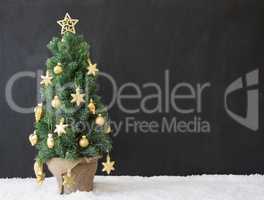 Christmas Tree, Copy Space, Black Concrete
