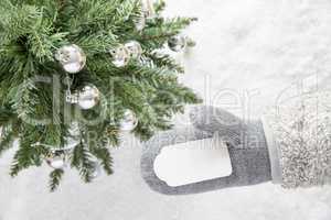 Green Christmas Tree, Glove, Copy Space