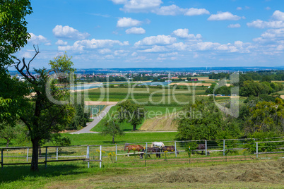 Filderebene with horses and view