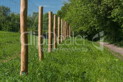 Fence of a pasture