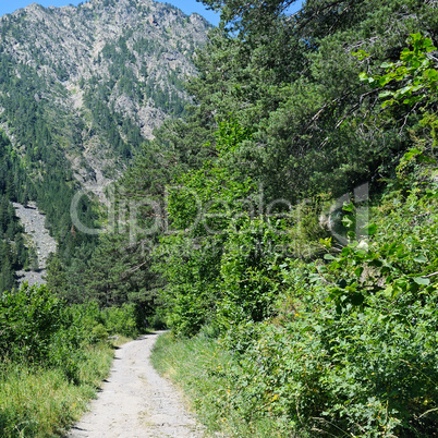 hiking trail through the forest slopes of mountains in summer su