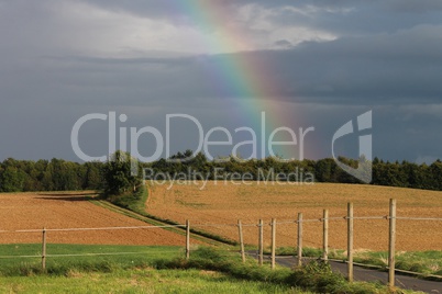 Regenbogen über Feld und Wald