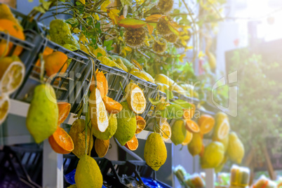 citrus fruits of sicily