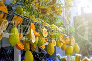 citrus fruits of sicily