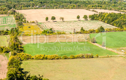 Empty farm fields bordered by tree lines.