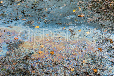 Colorful oil slick spreading on muddy swamp.