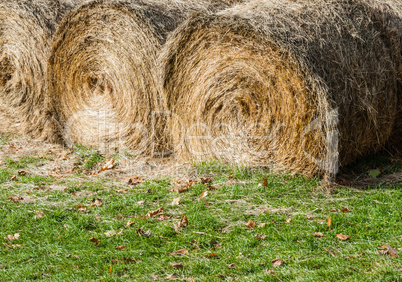 Large round hay bales on grass.
