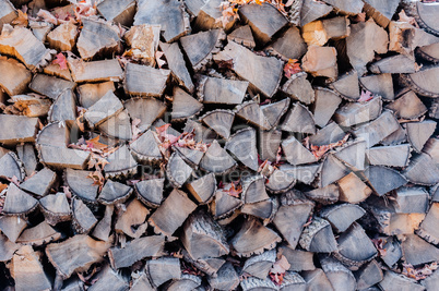 Dry stacked firewood with autumn leaves.