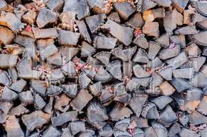 Dry stacked firewood with autumn leaves.
