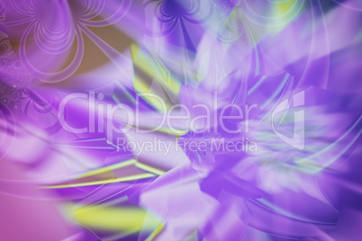 Illustration: fractal flower.