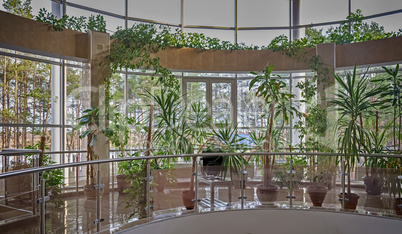 A small greenhouse with plants in the building.