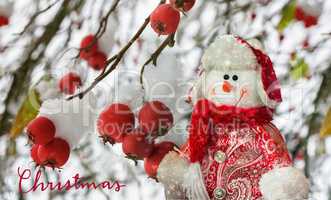 Hawthorn berries on the bushes covered with snow.