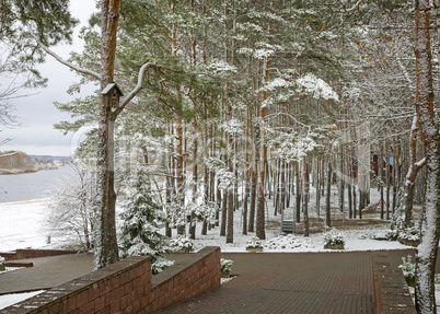 Winter landscape in the Park.