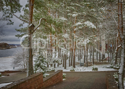 Winter landscape in the Park.