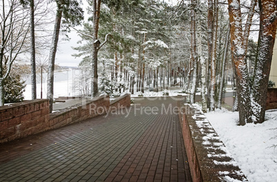 Winter landscape in the Park.