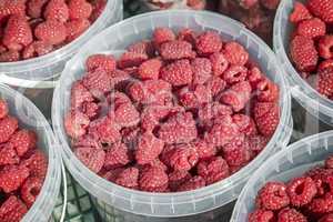 Raspberries in containers for sale.