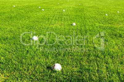 Golfbälle auf einem Golfplatz