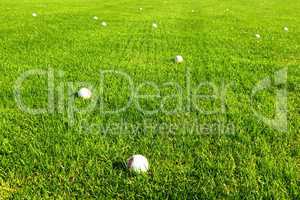 Golfbälle auf einem Golfplatz