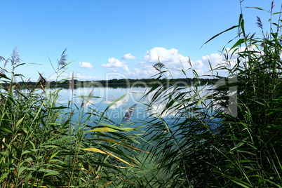 Das Naturschutzgebiet Hemmeldorfer See
